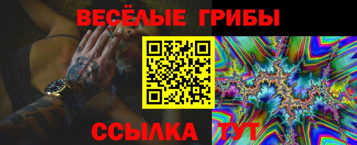 Новодвинск  наркотики  Вход с VPN  Галлюциногенные грибы прущие грибы  Галлюциногенные грибы Psilocybe 
