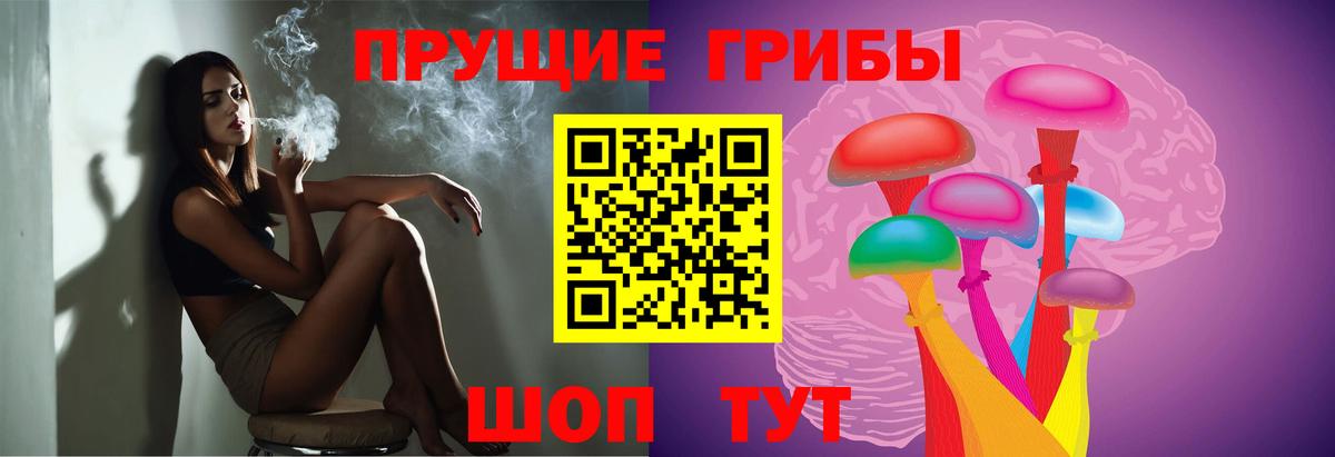 Псилоцибиновые грибы прущие грибы Новодвинск